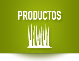 Productos